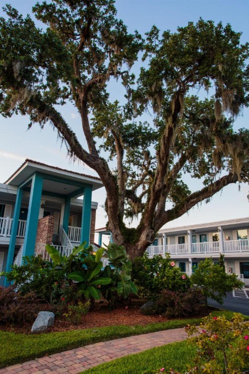 Southern Oaks Inn - Saint Augustine - image 25