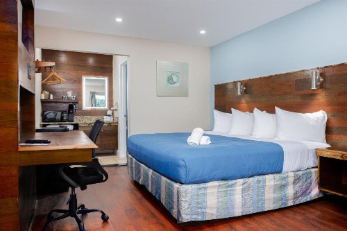 Southern Oaks Inn - Saint Augustine - image 33