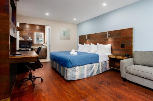 Southern Oaks Inn - Saint Augustine - image 34