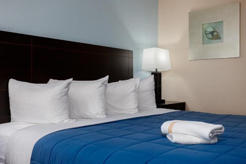 Southern Oaks Inn - Saint Augustine - image 48