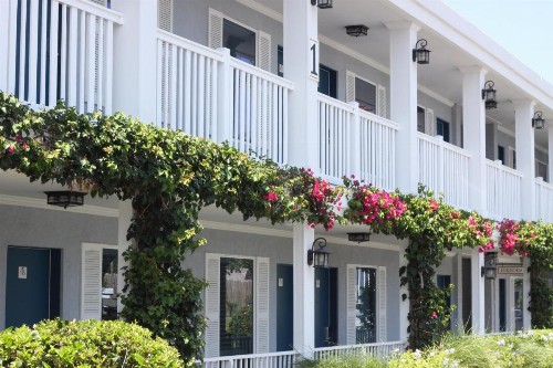 Southern Oaks Inn - Saint Augustine - image 5