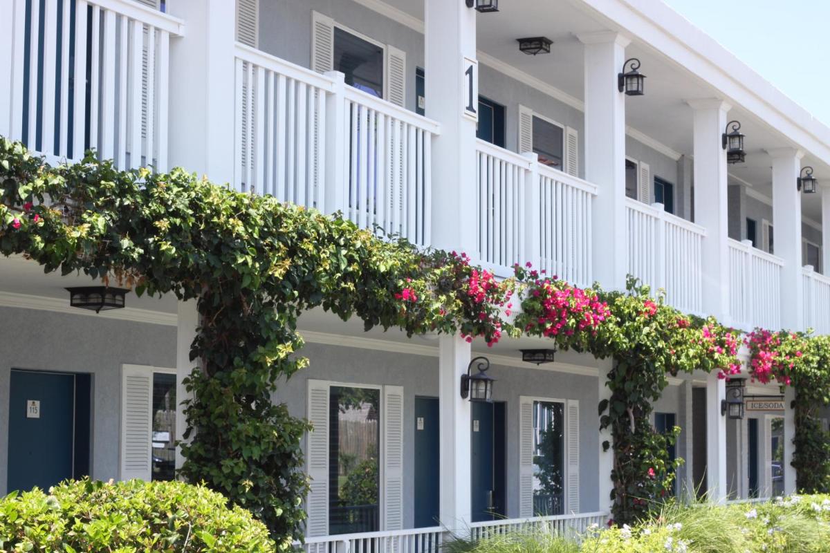 Southern Oaks Inn - Saint Augustine - image 5
