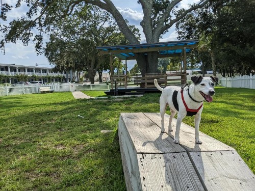 Southern Oaks Inn - Saint Augustine - image 7