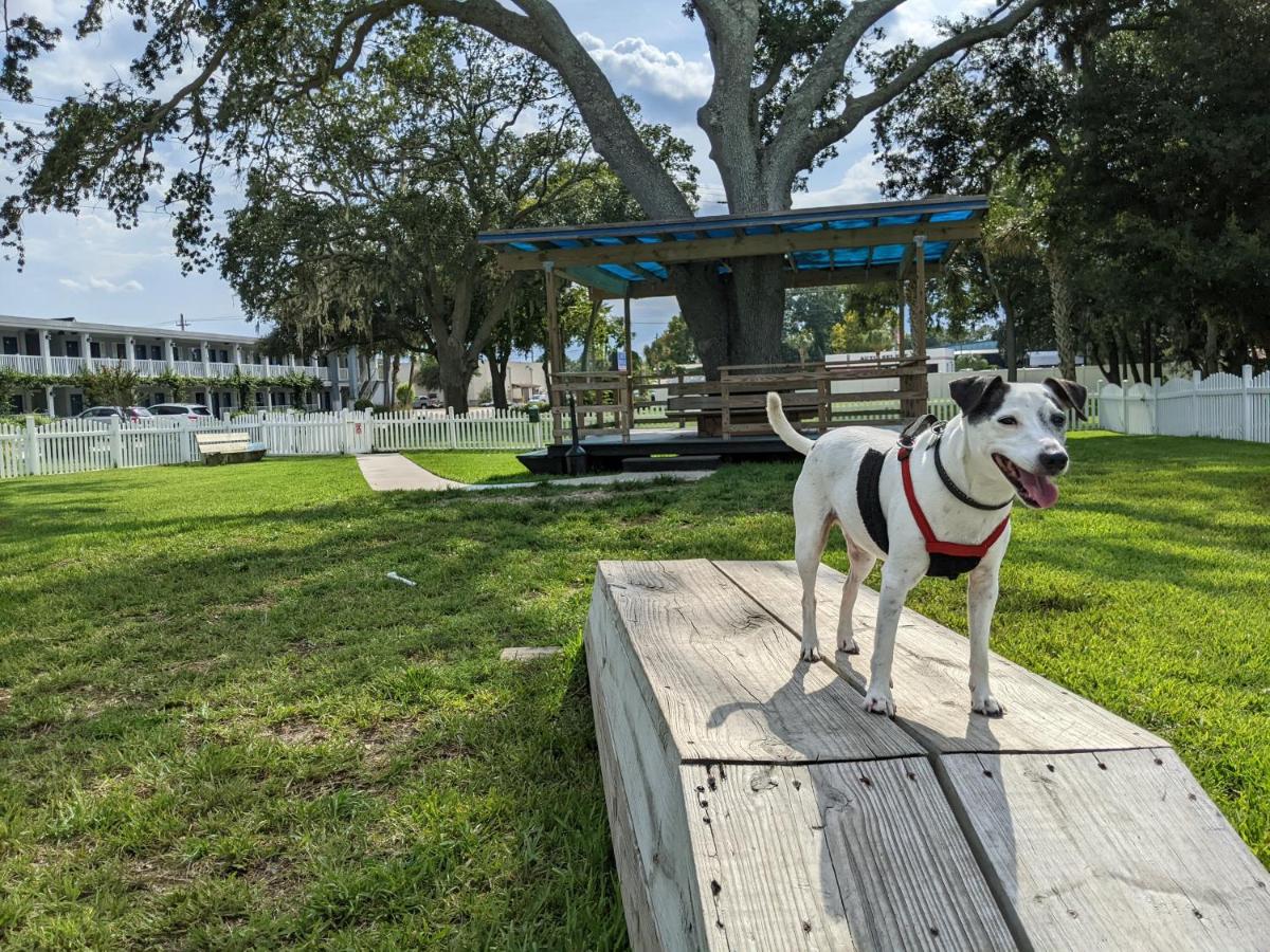 Southern Oaks Inn - Saint Augustine - image 7