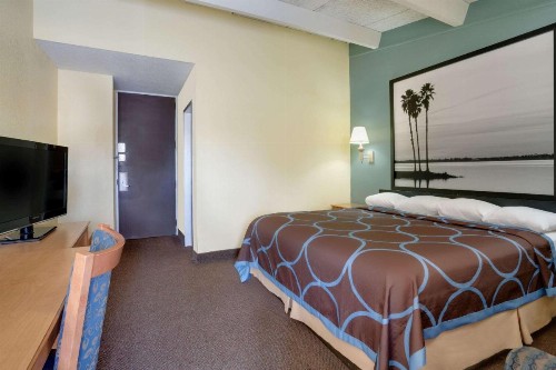 Super 8 by Wyndham St. Augustine - image 11