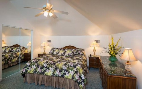 The Cozy Inn - image 2