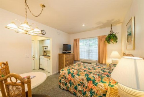 The Cozy Inn - image 24