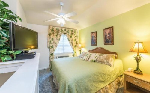 The Cozy Inn - image 28