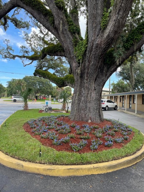 Scottish Inn - Saint Augustine