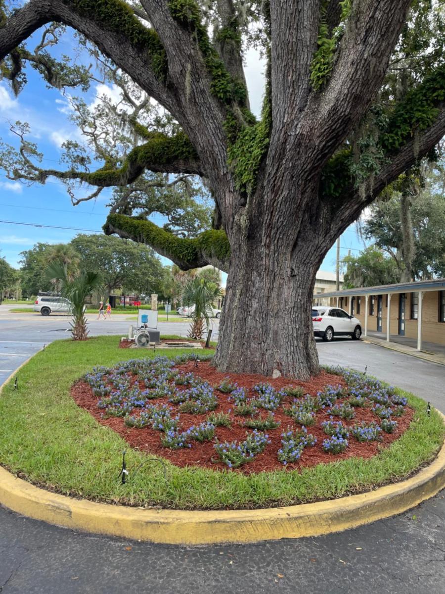 Scottish Inn - Saint Augustine - main image