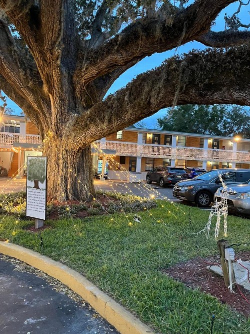 Scottish Inn - Saint Augustine - image 6