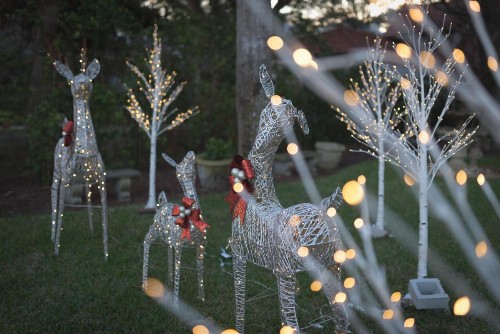 Bayfront Westcott House Bed & Breakfast - image 35