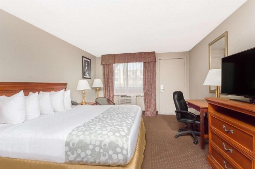 Days Inn by Wyndham St Augustine/Historic Downtown - image 6