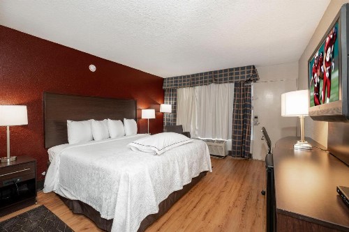 Red Roof Inn PLUS+ St. Augustine - image 20
