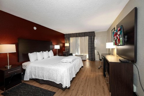 Red Roof Inn PLUS+ St. Augustine - image 22