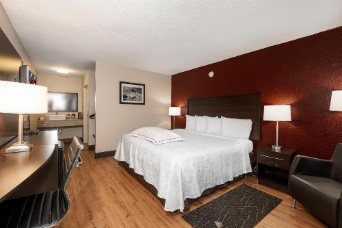 Red Roof Inn PLUS+ St. Augustine - image 23