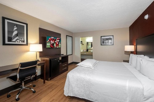 Red Roof Inn PLUS+ St. Augustine - image 25