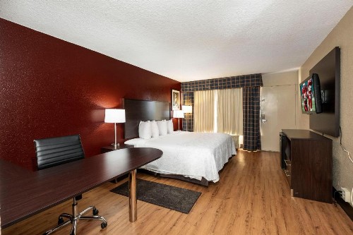 Red Roof Inn PLUS+ St. Augustine - image 29