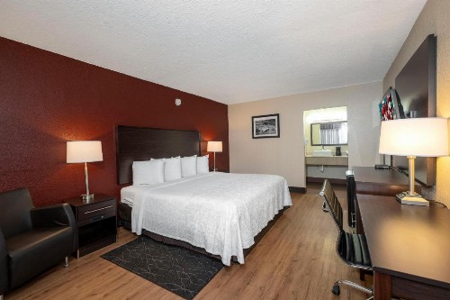 Red Roof Inn PLUS+ St. Augustine - image 32