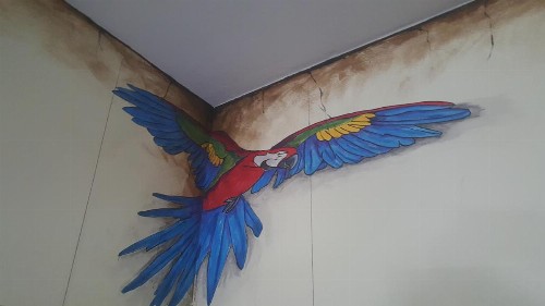 The Pirate Haus Inn - image 38