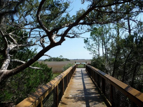 Holiday Inn Express and Suites Saint Augustine North an IHG Hotel - image 42