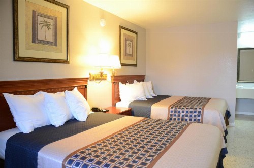 The Lion Inn - Saint Augustine - image 21