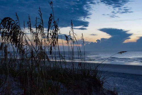 Gathering Shore - image 10
