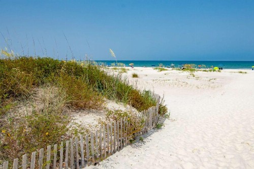 Ocean and Racquet #3116 - image 12