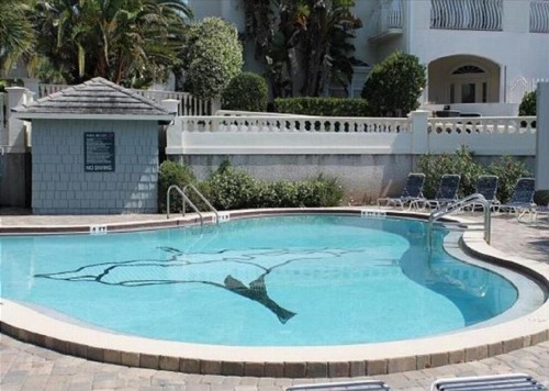 Hibiscus B302 Condo - image 6