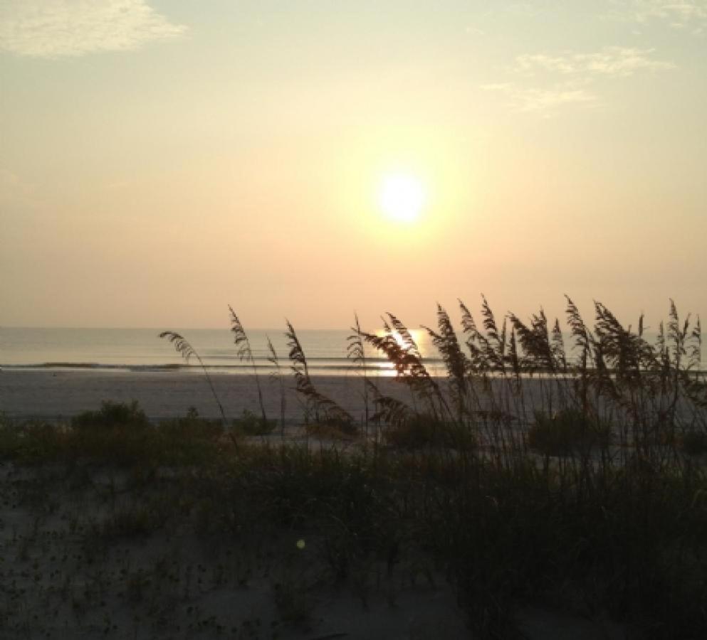 Barefoot Trace 213 - image 2