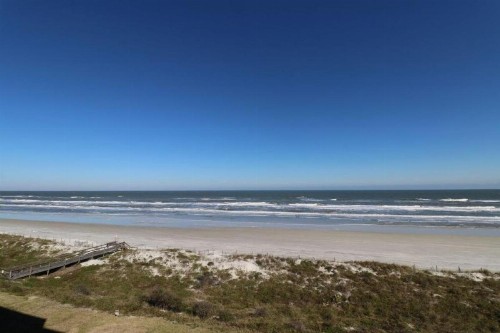 Sand Dollar 2-405 - image 8