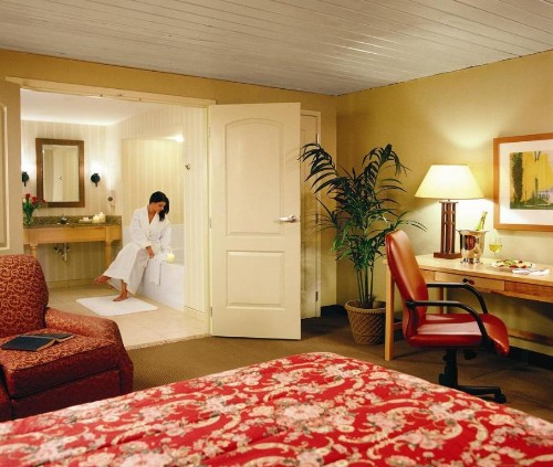 Pheasant Run Resort - image 5