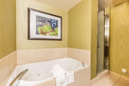 Hilton Garden Inn St. George - image 26