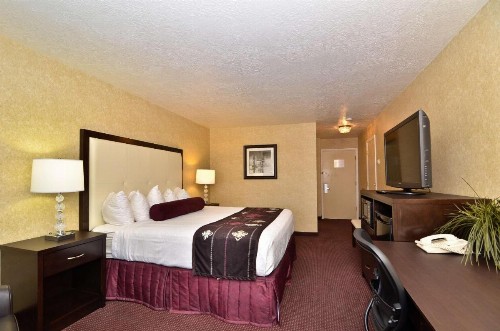 Best Western Coral Hills - image 34