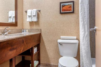 Comfort Inn at Convention Center Saint George - image 14