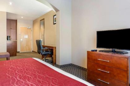 Comfort Inn at Convention Center Saint George - image 8