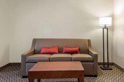 Comfort Inn at Convention Center Saint George - image 9