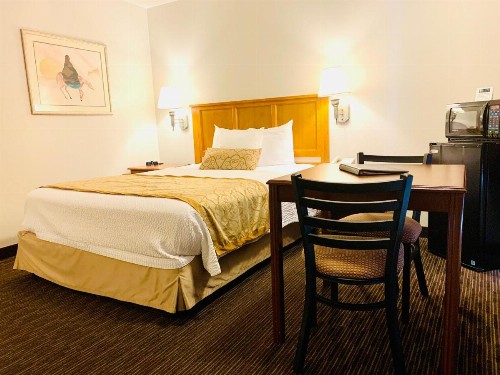 St. George Inn and Suites - image 32