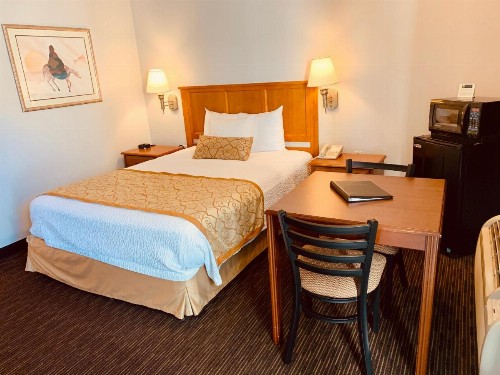 St. George Inn and Suites - image 47