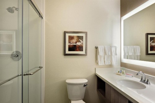 Holiday Inn St. George Convention Center an IHG Hotel - image 32