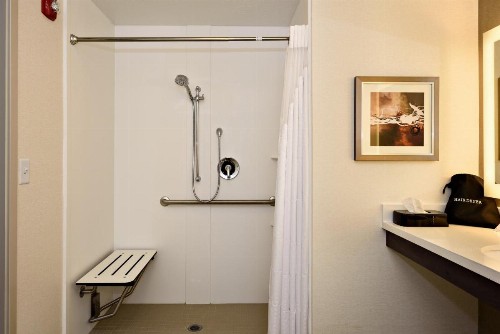 Holiday Inn St. George Convention Center an IHG Hotel - image 34