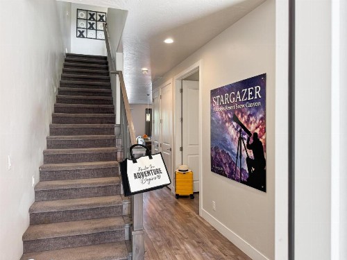 Stargazer - image 15