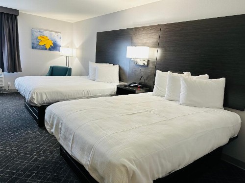 Supreme Inn & Suites - St. James/Donaldsonville - image 11