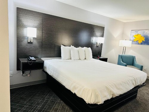 Supreme Inn & Suites - St. James/Donaldsonville - image 6