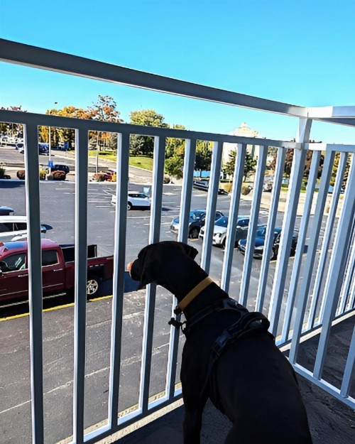 Silver Beach Hotel - image 22