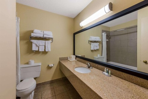 Quality Inn Airport - image 16