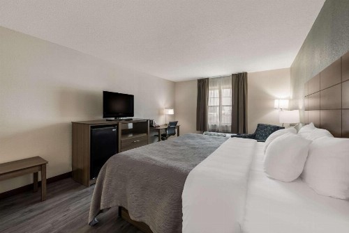 Quality Inn Airport - image 19