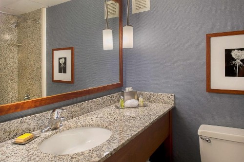 DoubleTree by Hilton St. Louis at Westport - image 27