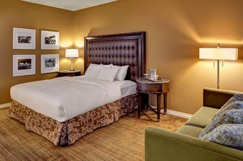 Hilton St. Louis Airport - image 15