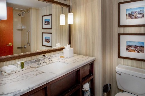 Hilton St. Louis Airport - image 24